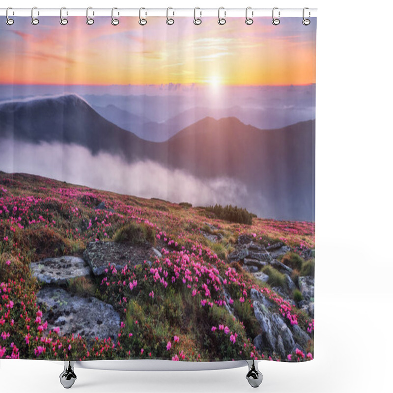 Personality  Morning Scenery Of Meadows With Blooming Rhododendron, Fog, High Mountains And Sunset. Majestic Summer Scenery. Location Place The Carpathian, Ukraine, Europe. Shower Curtains