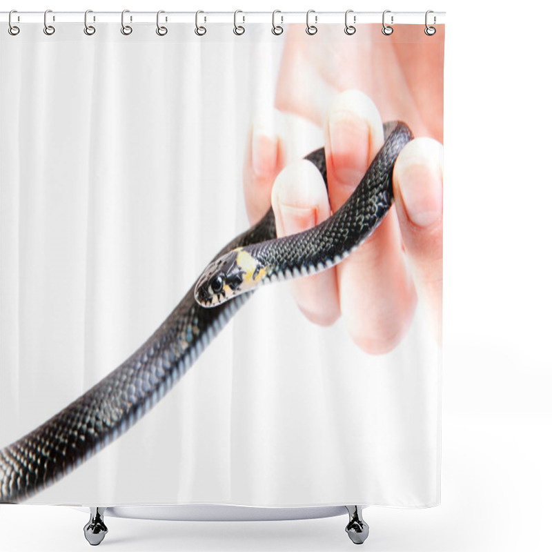 Personality  Snake in the hand shower curtains