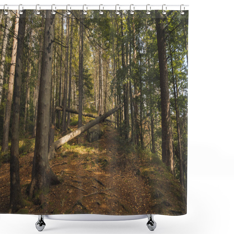 Personality  Soft Focus Felling Of Trees In Carpathian Mountains Western Ukrainian Nature Environment Sunny Spring Weather Day Time Shower Curtains