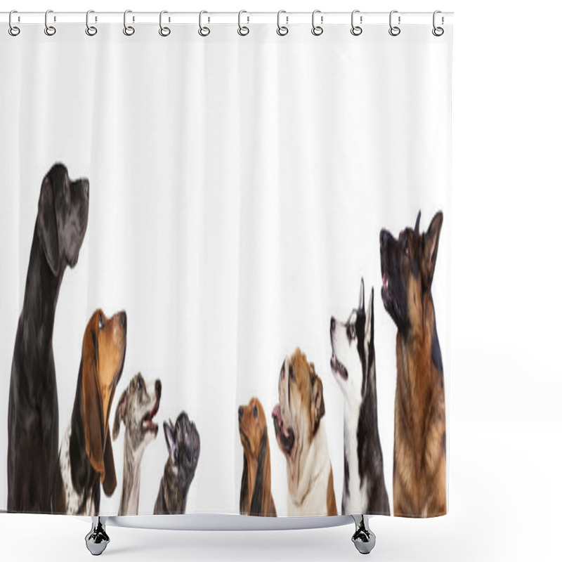 Personality  Group Of Dogs Shower Curtains