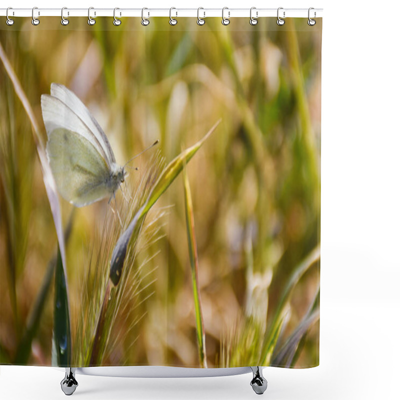 Personality  Close Up Of A White Butterfly Posed Peacefully On A Green Herb In A Sunny Day Of Spring On A Herbal Background. Horizontal Picture Shower Curtains