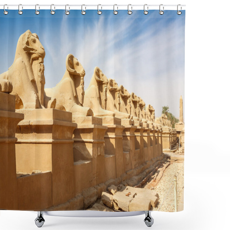 Personality  Sphinxes Avenue. Luxor, Egypt Shower Curtains