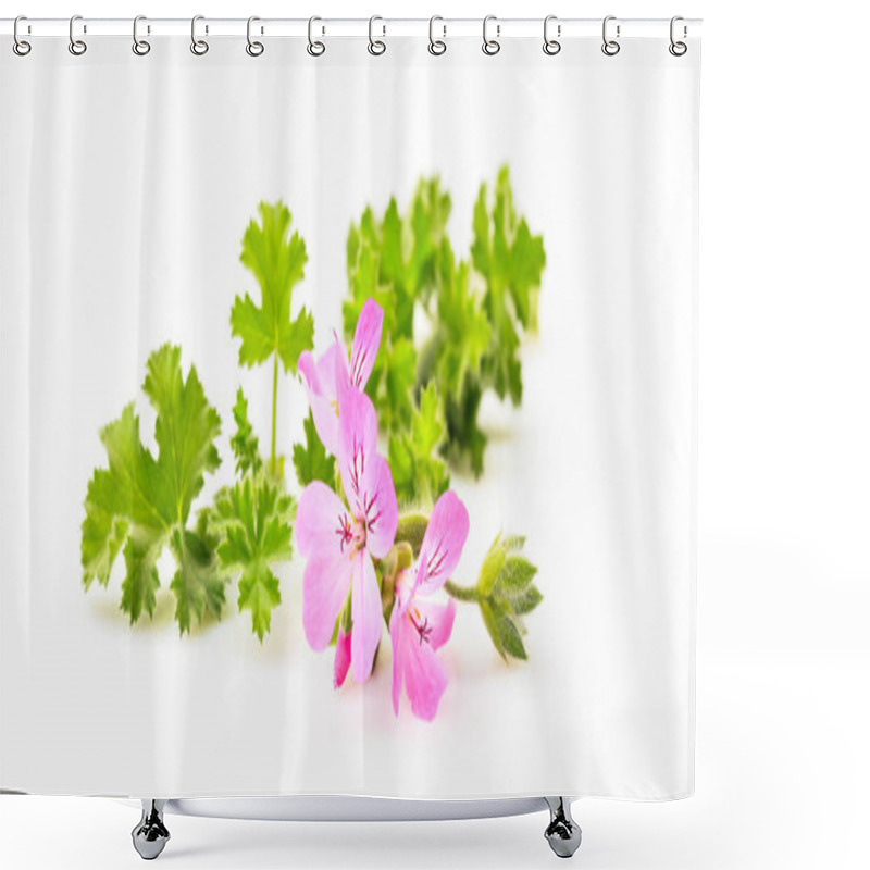 Personality  Citronella Twig On White Background Shower Curtains