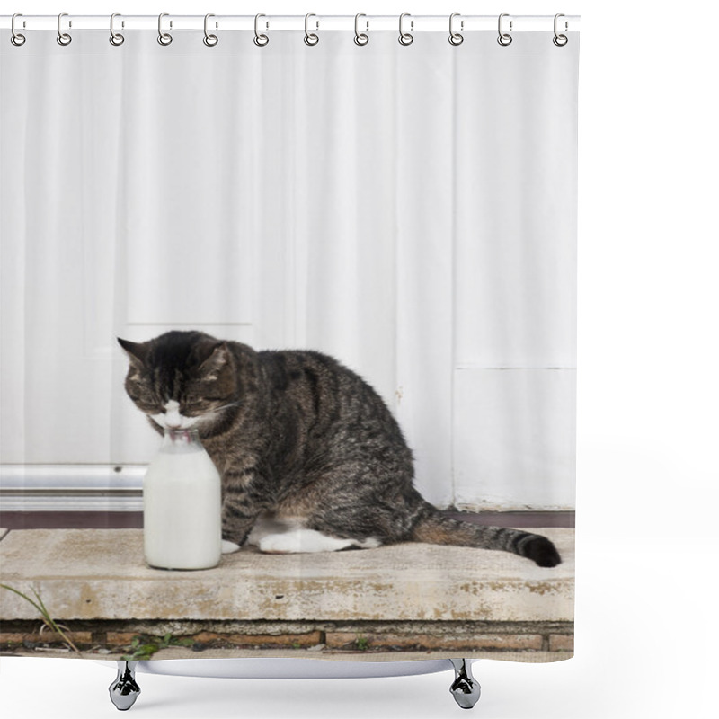 Personality  0588 Cat With Milk Bottle Shower Curtains