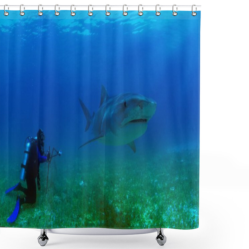 Personality  Tiger Shark And Scuba Diver Shower Curtains