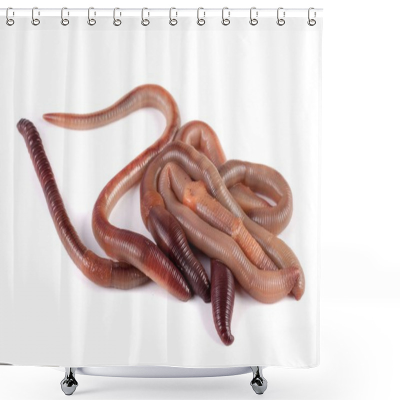 Personality  Bunch Of Earthworms Isolated On White Background Macro Shower Curtains