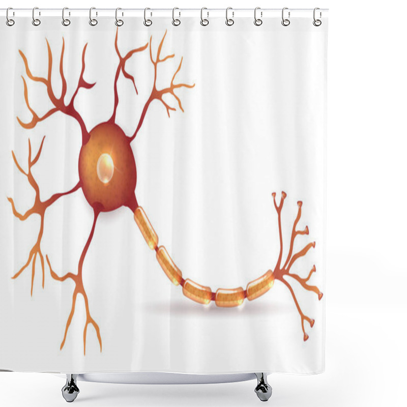 Personality  Neuron, Nerve Cell Anatomy Shower Curtains