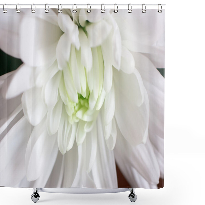 Personality  White Flower Shower Curtains