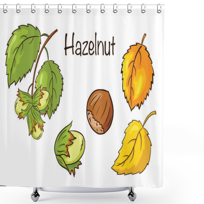 Personality  Hazelnut And Leaves Set. Collection Of Hand Drawn Hazelnut Fruits And Leaves. Autumn Decorative Elements. Vector Illustration For Logo, Menu, Prints, Stickers, Design And Decoration Shower Curtains