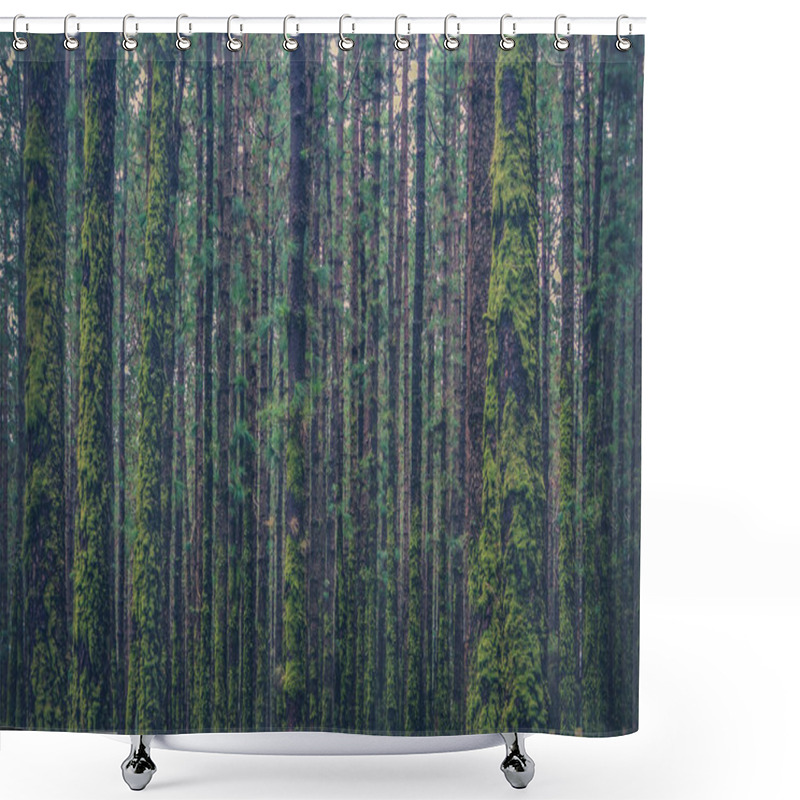 Personality  Many Trees Inside Forest Overgrown With Moss  Shower Curtains