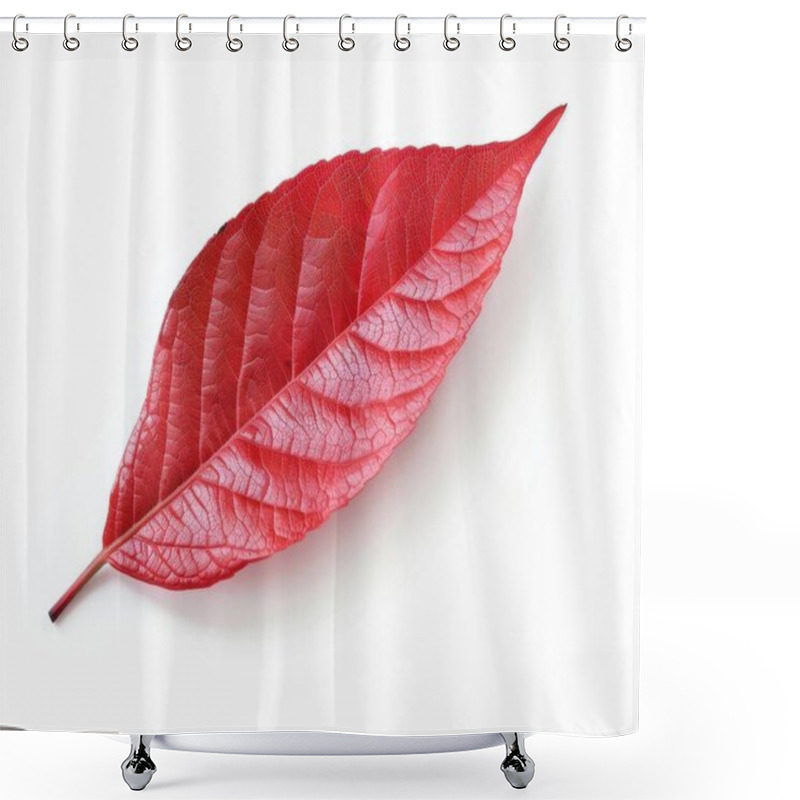 Personality  A Vibrant Red Leaf Showcasing Intricate Vein Patterns Against A Clean White Background. Shower Curtains