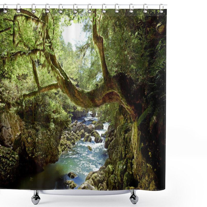 Personality  Deep Forest Shower Curtains