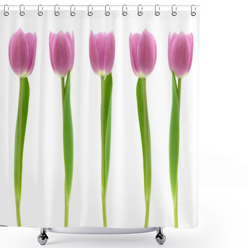 Personality  Pink Tulips Shower Curtains