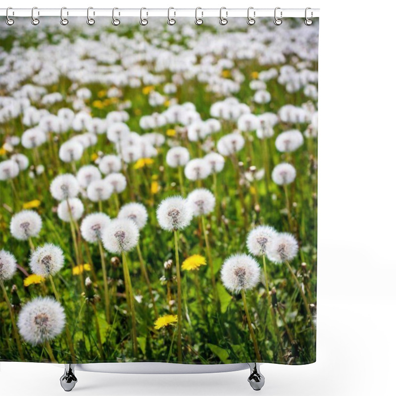 Personality  An Extreme Long Shot, Birds-eye-view Image Of A Vast Dandelion Field. Utilize Deep Focus To Capture The Expansive Field With Countless Dandelion Seed Heads In Sharp Detail, Extending To The Horizon With Clear Visibility Of The Surrounding Landscape Shower Curtains