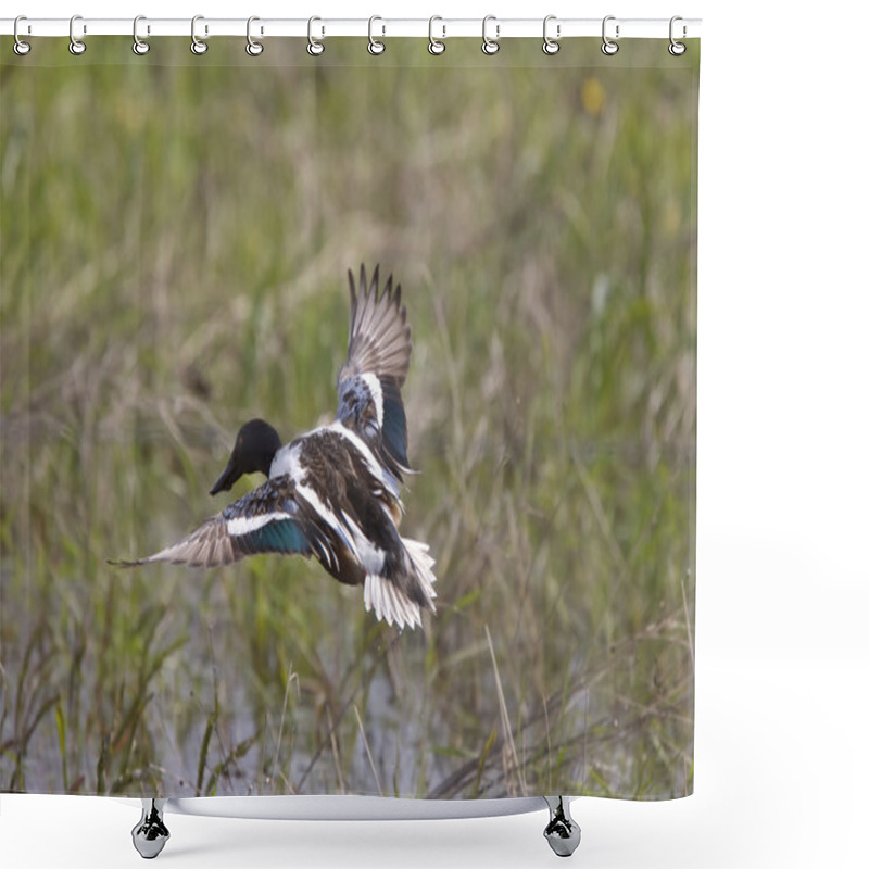 Personality  Northern Shoveler Shower Curtains