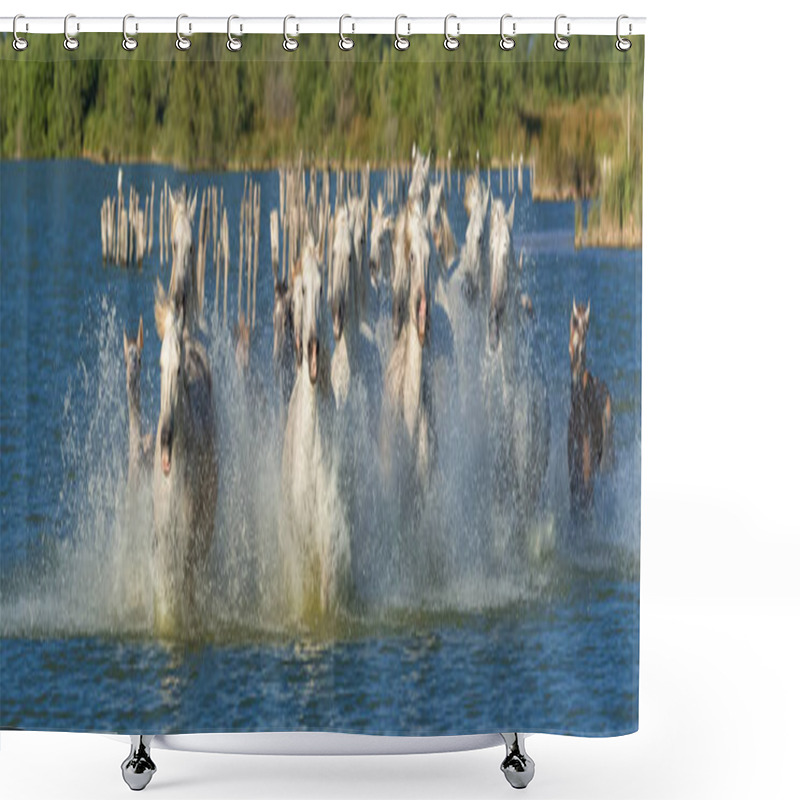 Personality  Horses Running In The Water, Beautiful Purebred Horses In Camargue  Shower Curtains