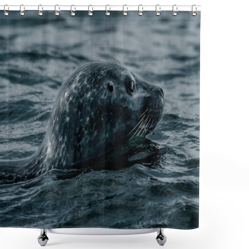 Personality  Close-up Of A Harbor Seal Swimming In The Waters Of Jokusarlon Glacier Lagoon, Southeast Iceland. Shower Curtains