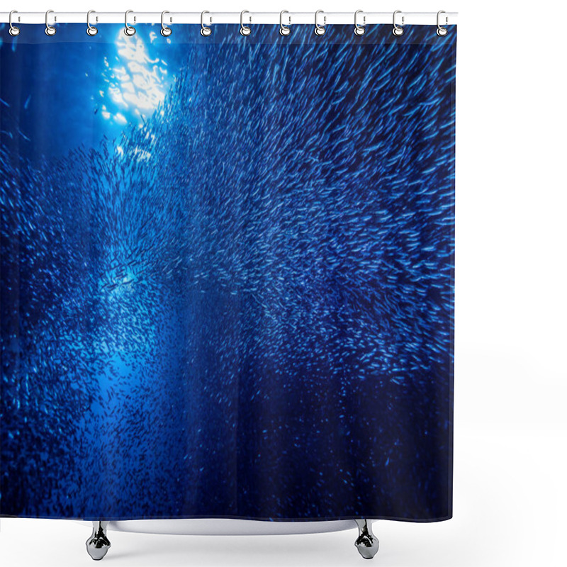 Personality  Shoal Of Small Tiny Fish In Underwater Cave Against Light Rays From Entrance Shower Curtains