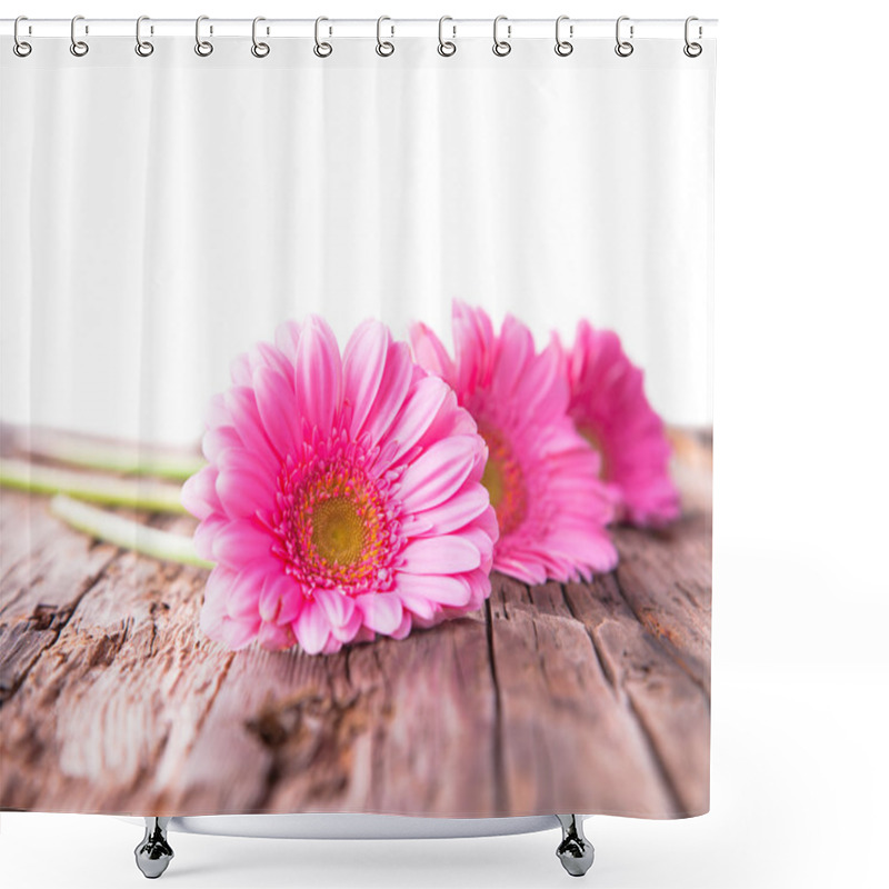 Personality  Gerbera Daisies Shower Curtains