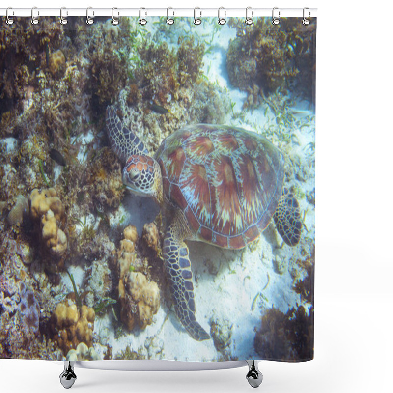 Personality  Sea Turtle Rest On Seabottom. Tropical Island Seashore Nature. Sea Tortoise Snorkeling Or Diving Banner. Olive Green Turtle Underwater Photo. Marine Animal Undersea. Wild Nature Of Tropical Sea Shower Curtains