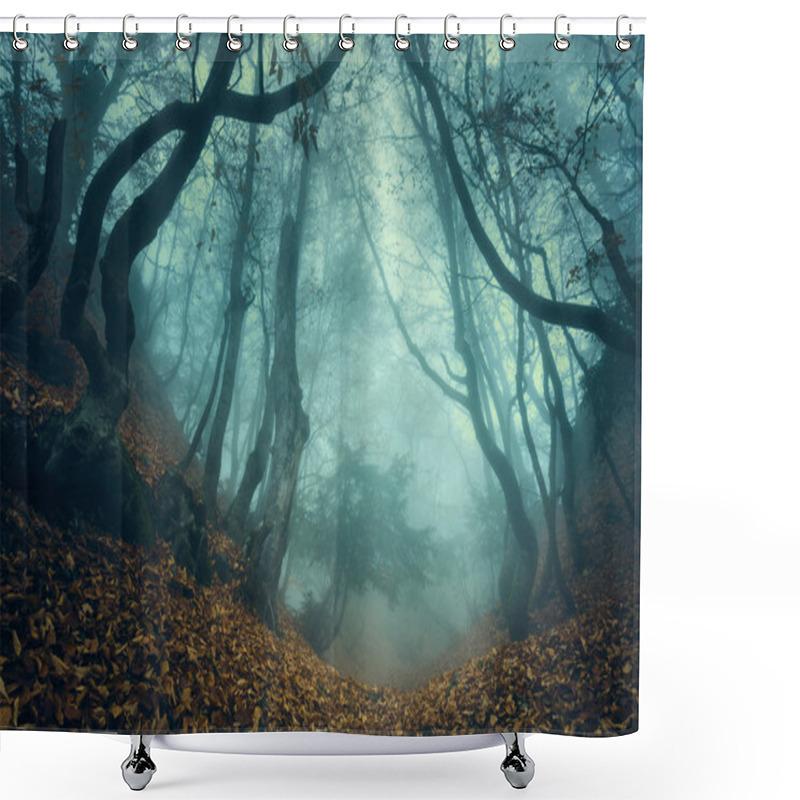 Personality  Trail Through A Mysterious Dark Old Forest In Fog. Autumn Shower Curtains