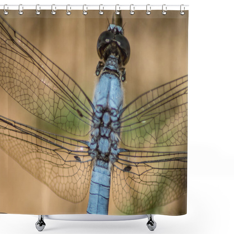 Personality  A Closeup Shot Of The Wings Of A Blue Dragonfly Shower Curtains