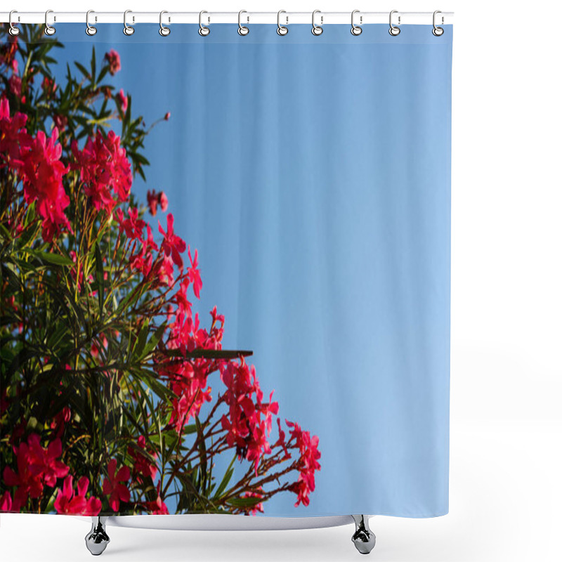 Personality  Oleander Flower And Sky Background. Red Tree Blossom And Sky Shower Curtains