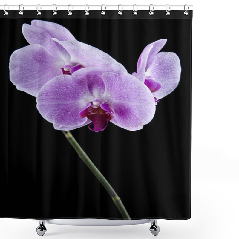 Personality  Orchid Flowers On The Water Drops Shower Curtains