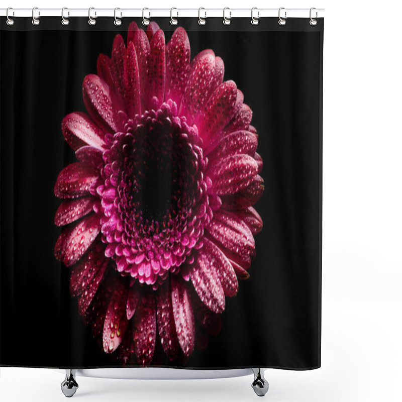 Personality  Top View Of Pink Gerbera Flower With Drops On Petals, Isolated On Black Shower Curtains