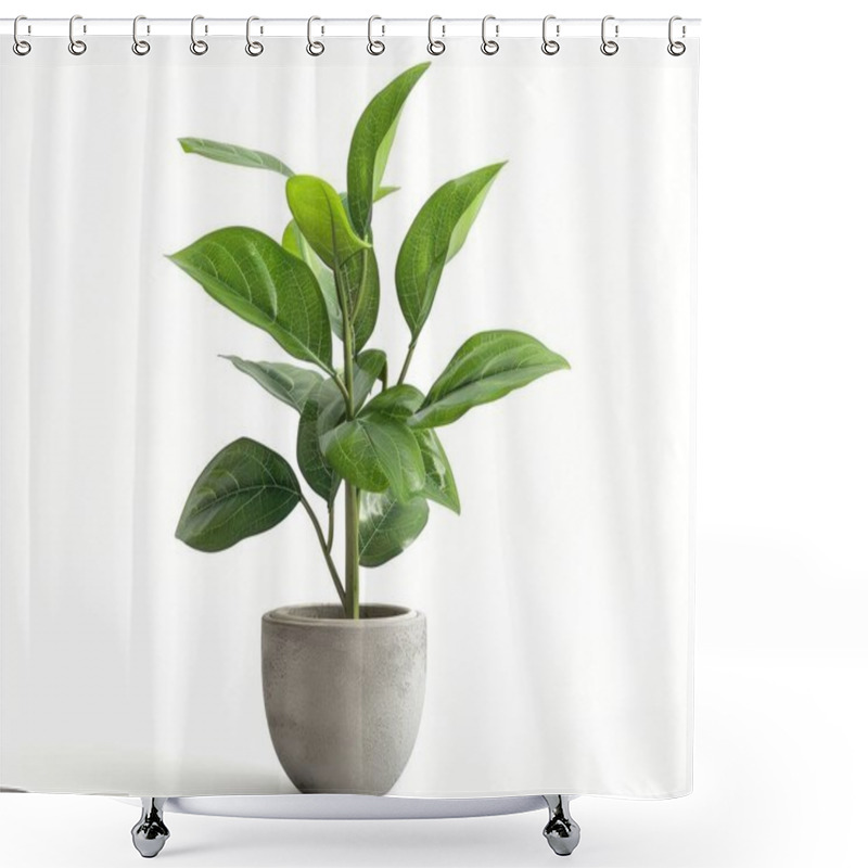 Personality  A Vibrant Green Plant In A Textured Gray Pot, Showcasing Lush Leaves And A Modern Aesthetic. Shower Curtains