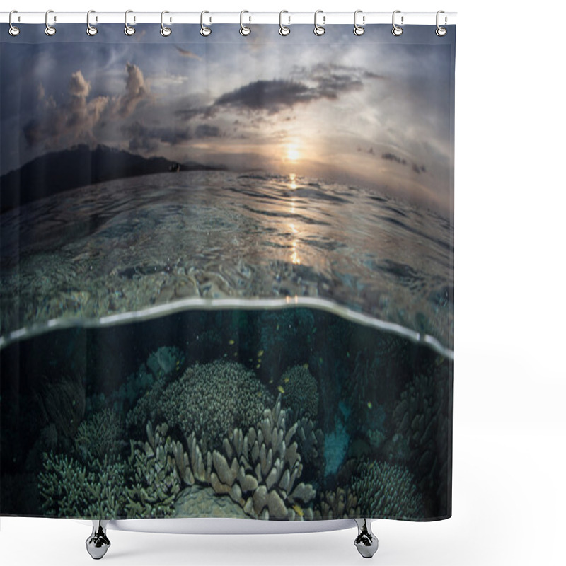 Personality  Coral Reef And Sunset Shower Curtains