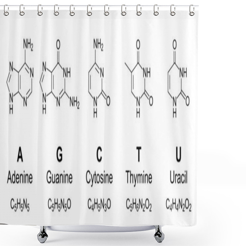 Personality  Primary Nucleobases, Chemical Formulas And Skeletal Structures. Adenine, Guanine, Cytosine, Thymine And Uracil, Represented By Letters A, G, C, T And U. Fundamental Units Of The Genetic Code. Vector. Shower Curtains