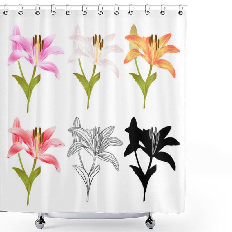 Personality  Stem Lily Flower Yellow White Pink Yellow Red Outline And Silhouette Lilium Candidum, On A White Background  Vintage Vector Illustration Editable Hand Draw Shower Curtains