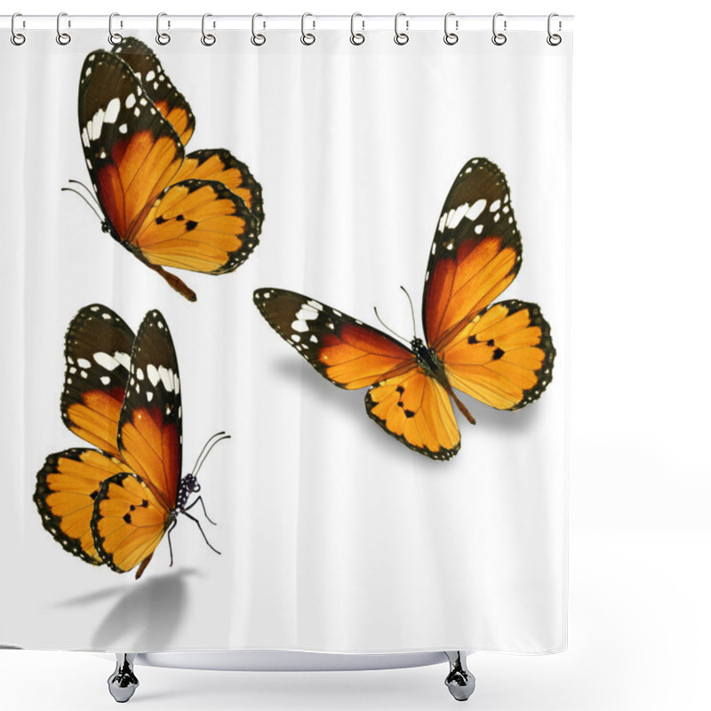 Personality  Orange Butterfly Shower Curtains