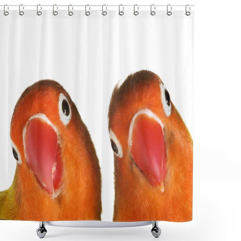 Personality  Lovebirds Shower Curtains