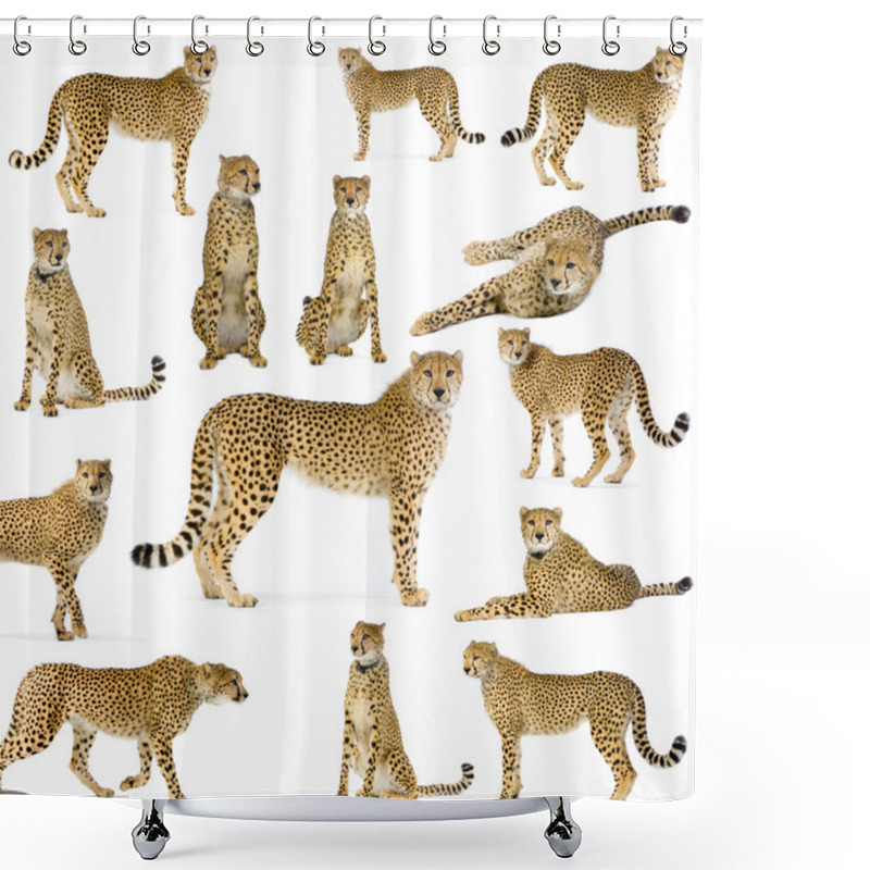 Personality  Fourteen Cheetahs Shower Curtains