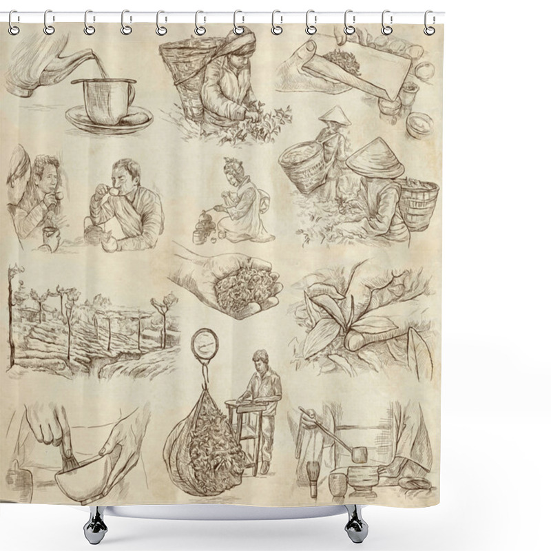 Personality  Tea Processing. Agriculture. An Hand Drawn Illustration. Shower Curtains