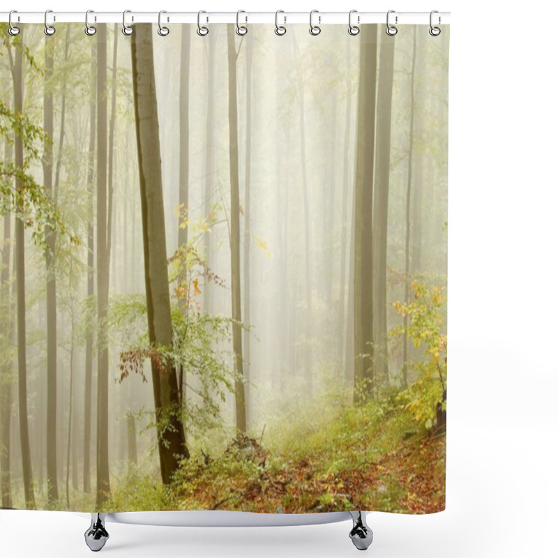 Personality  Beech Forest On The Mountain Slope Shower Curtains