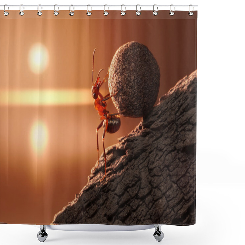 Personality  Ant Sisyphus Rolls Stone Uphill On Mountain Shower Curtains