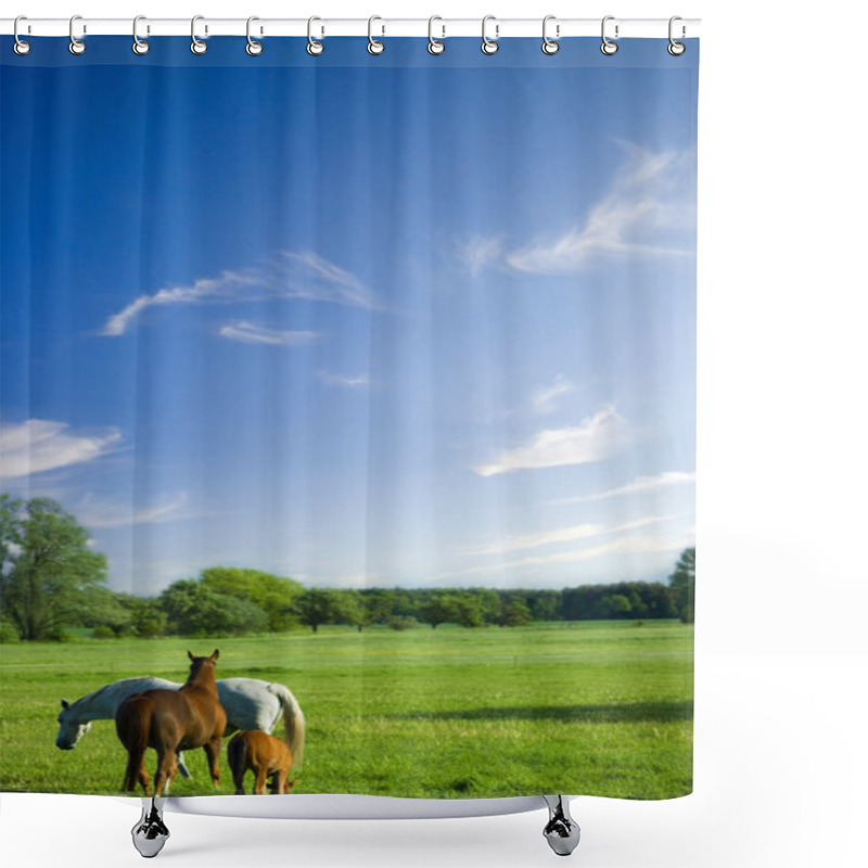 Personality  Beatiful Landscape With Horses Shower Curtains