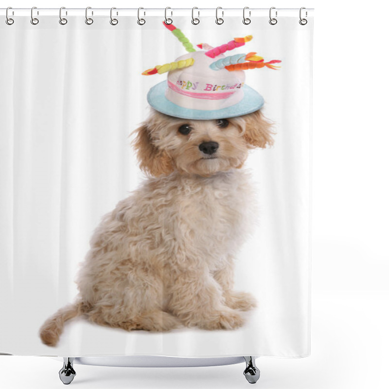 Personality  Labradoodle Puppy Shower Curtains