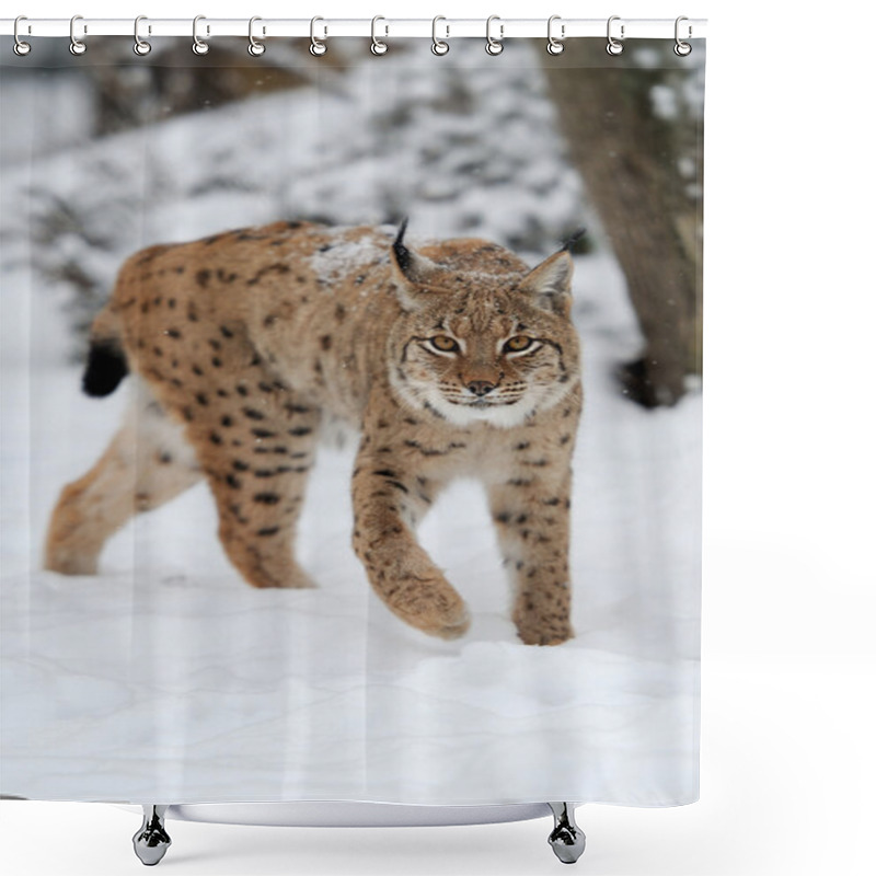 Personality  Lynx Shower Curtains