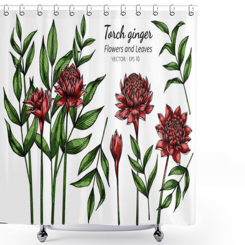 Personality  Set Of Red Torch Ginger Flower And Leaf Drawing Illustration With Line Art On White Backgrounds Shower Curtains