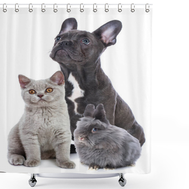 Personality  Pets Isolated On White Background Shower Curtains