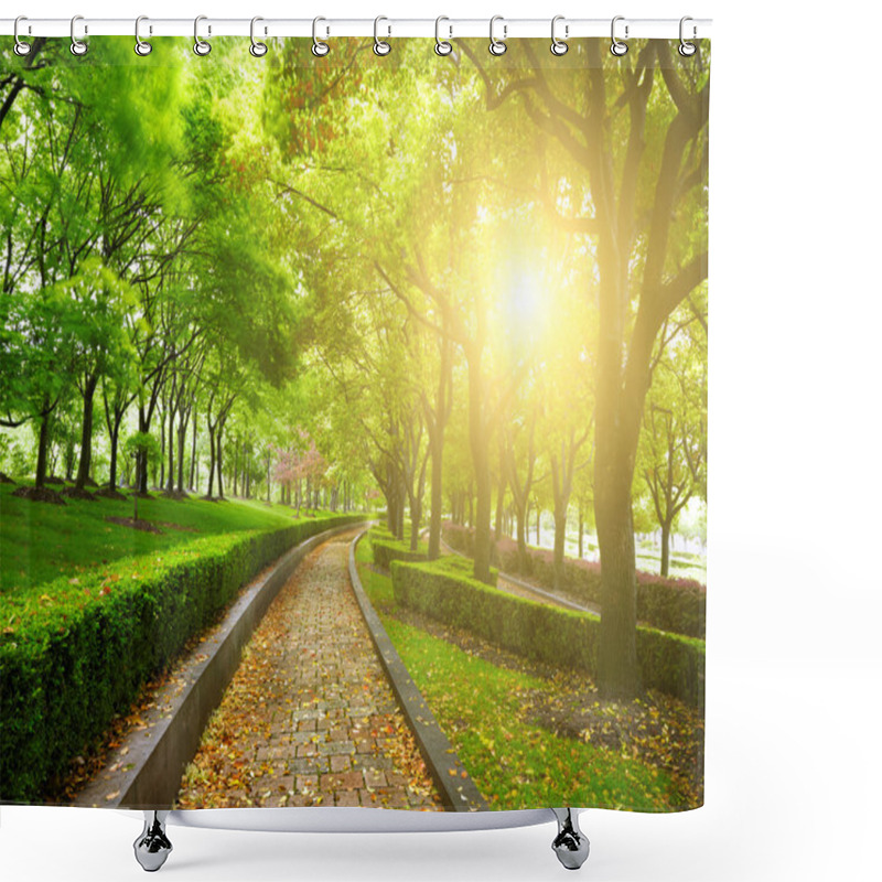 Personality  Green City Park Shower Curtains