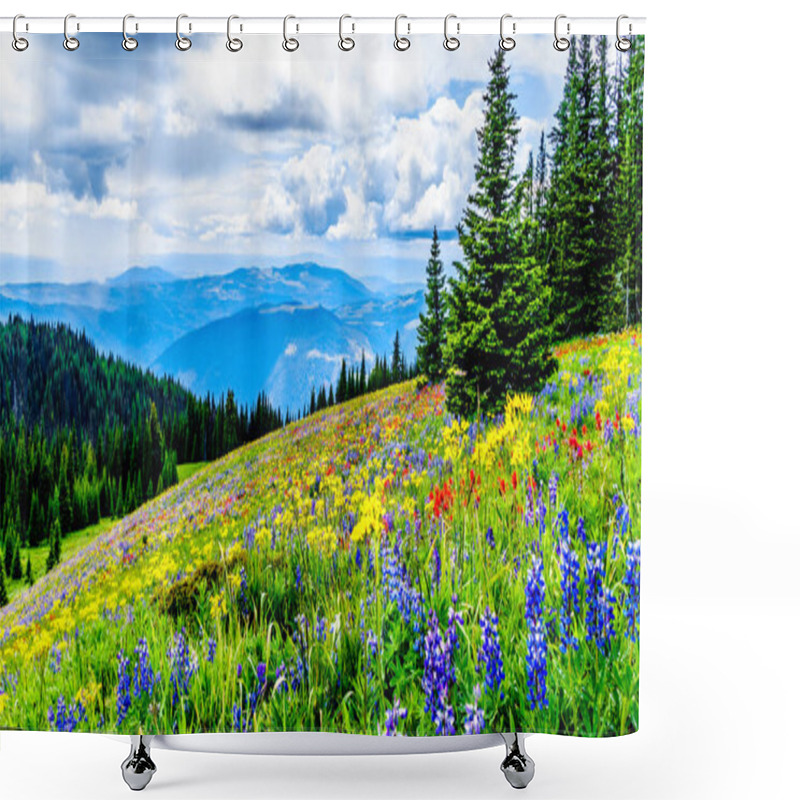 Personality  Hiking Through The Alpine Meadows Filled With Abundant Wildflowers. On Tod Mountain At The Alpine Village Of Sun Peaks In The Shuswap Highlands Of The Okanagen Region In British Columbia, Canada Shower Curtains