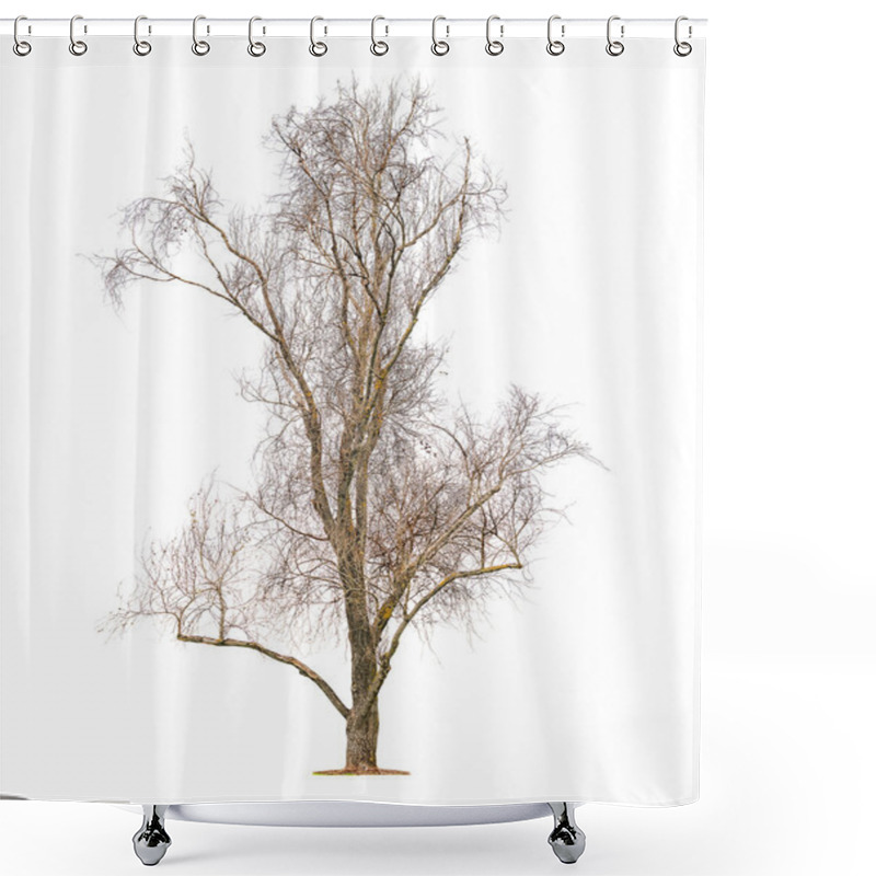 Personality  Big Leafless Tree Shower Curtains