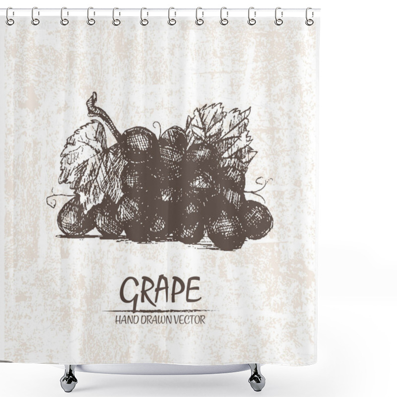 Personality  Digital Vector Detailed Grape Hand Drawn Shower Curtains