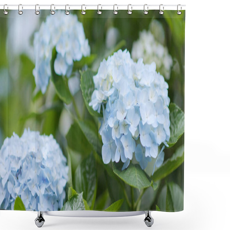 Personality  Beautiful Hydrangea Flower Field Shower Curtains