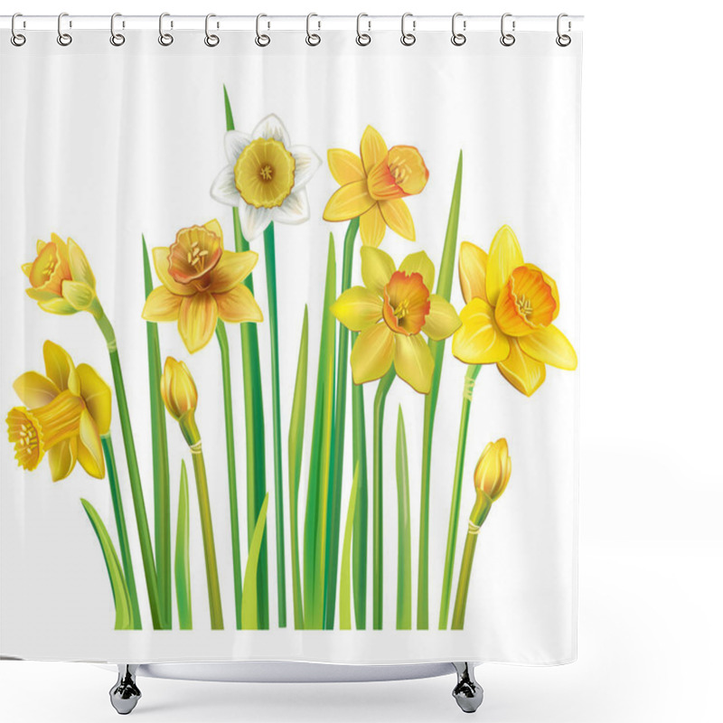 Personality  Yellow Daffodils On A White Background Shower Curtains